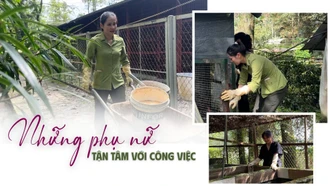 Những phụ nữ tận tâm với công việc