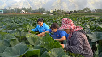 Giữ chân lao động trẻ nông thôn 
