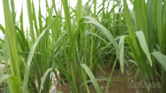 Tuần hoàn để tái sinh giá trị