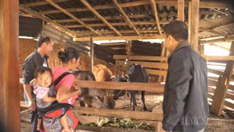 Sau những chương trình hỗ trợ, người dân sống ra sao?