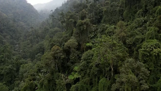 Nà Hẩu: Khi bảo vệ rừng trở thành sinh kế và trách nhiệm