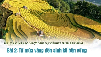 Bài 2: Từ mùa vàng đến sinh kế bền vững