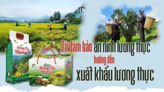 Từ đảm bảo an ninh lương thực hướng đến xuất khẩu lương thực