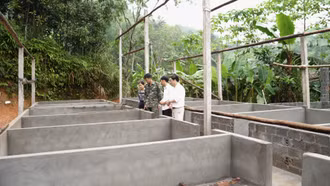 Nghĩa Tâm triển khai Nghị quyết 21 bảo đảm đúng đối tượng, phù hợp thực tiễn