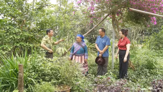 Giữ tri thức cây thuốc bản địa từ mô hình cộng đồng