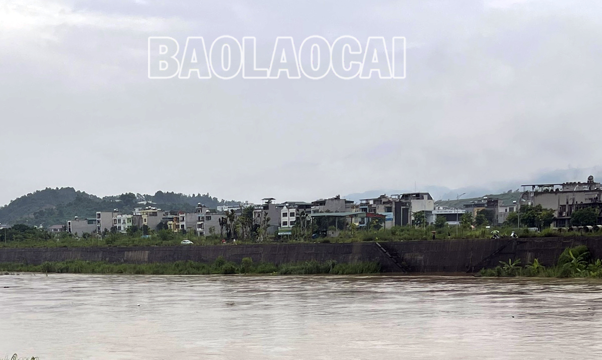 Dự án Nhà ở xã hội khu bờ tả sông Hồng được xây dựng tại thôn Sơn Mãn, xã Vạn Hòa, thành phố Lào Cai. P2.jpg