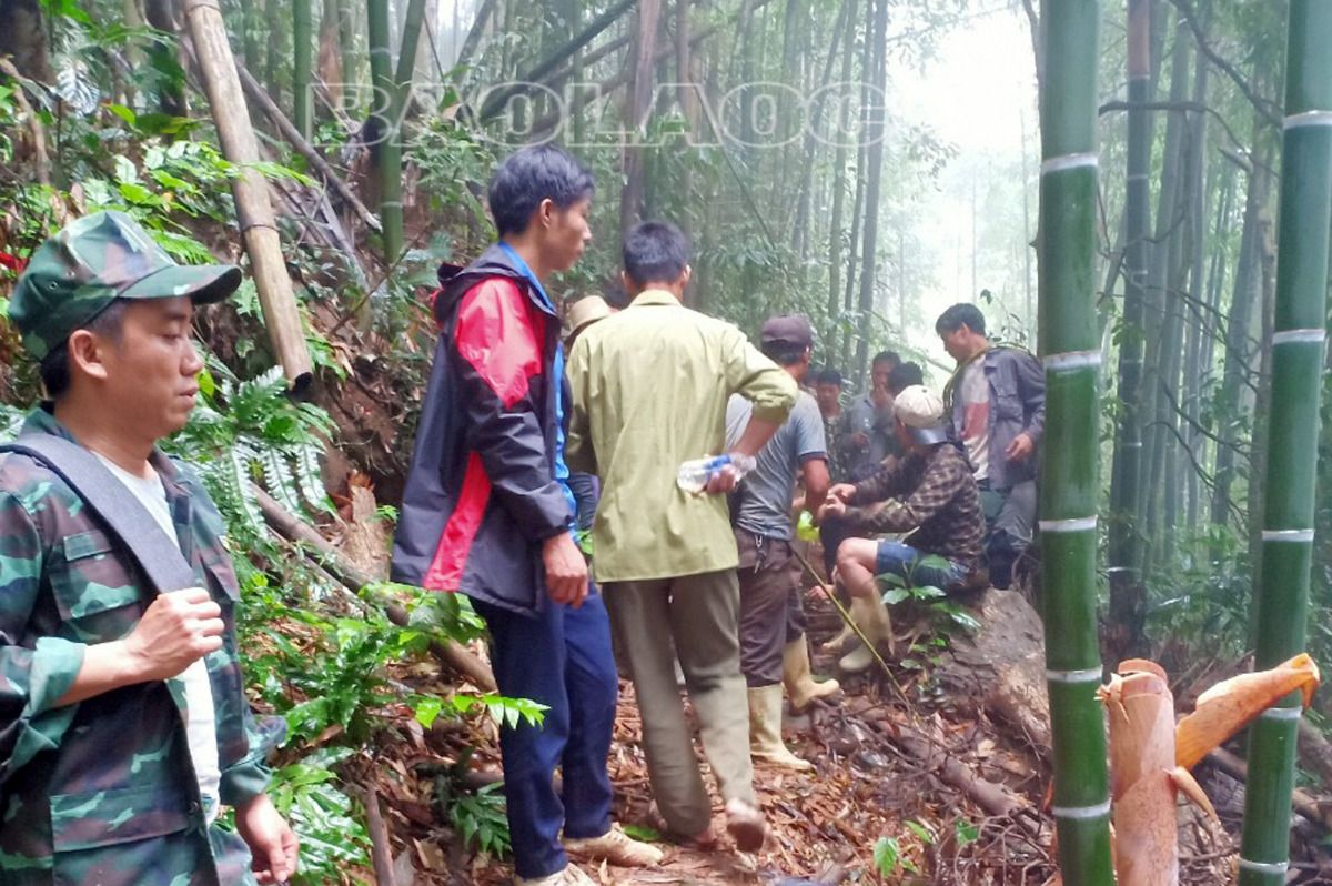 Nhân dân và lực lượng chức năng tìm kiếm bà Triệu Thị D. trong rừng suốt ngày đêm. z5341470087587_1a979b0d7a8bd8d3b03c2a535ea68513.jpg