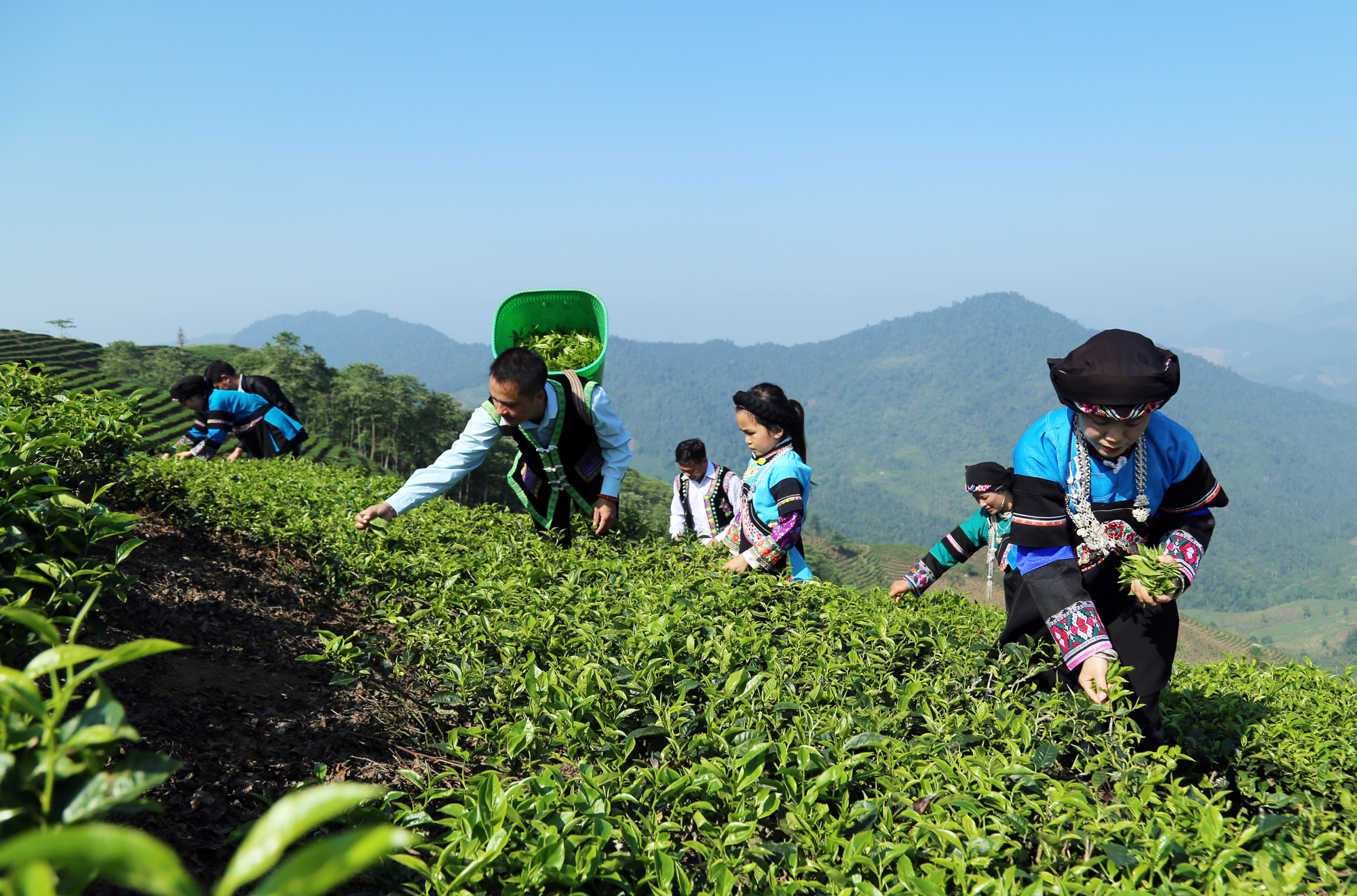Các sản phẩm của phụ nữ dân tộc thiểu số ở Lào Cai đã được kết nối bán trên các sàn thương mại điện tử. A0.JPG