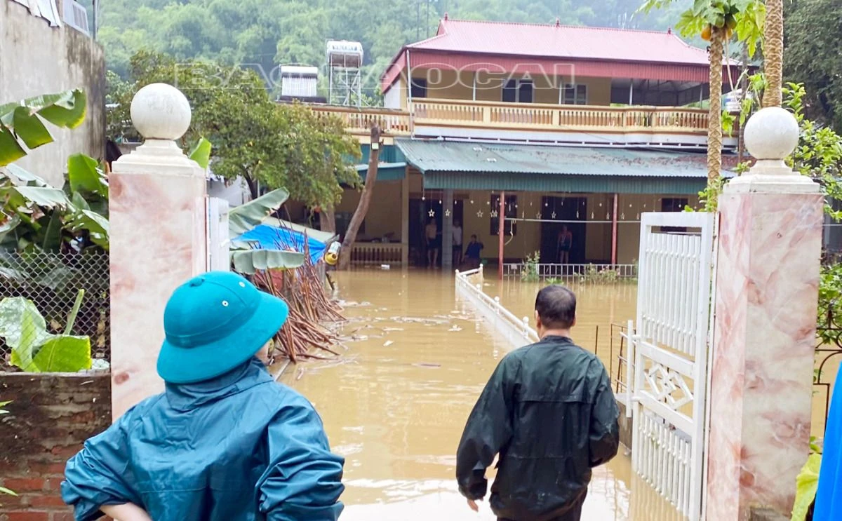 z5441858273888_d1110862a83874097e9804f25a403da0 (1).jpg