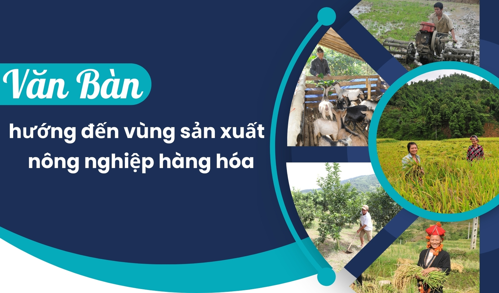 Văn Bàn hướng đến vùng sản xuất nông nghiệp hàng hóa 