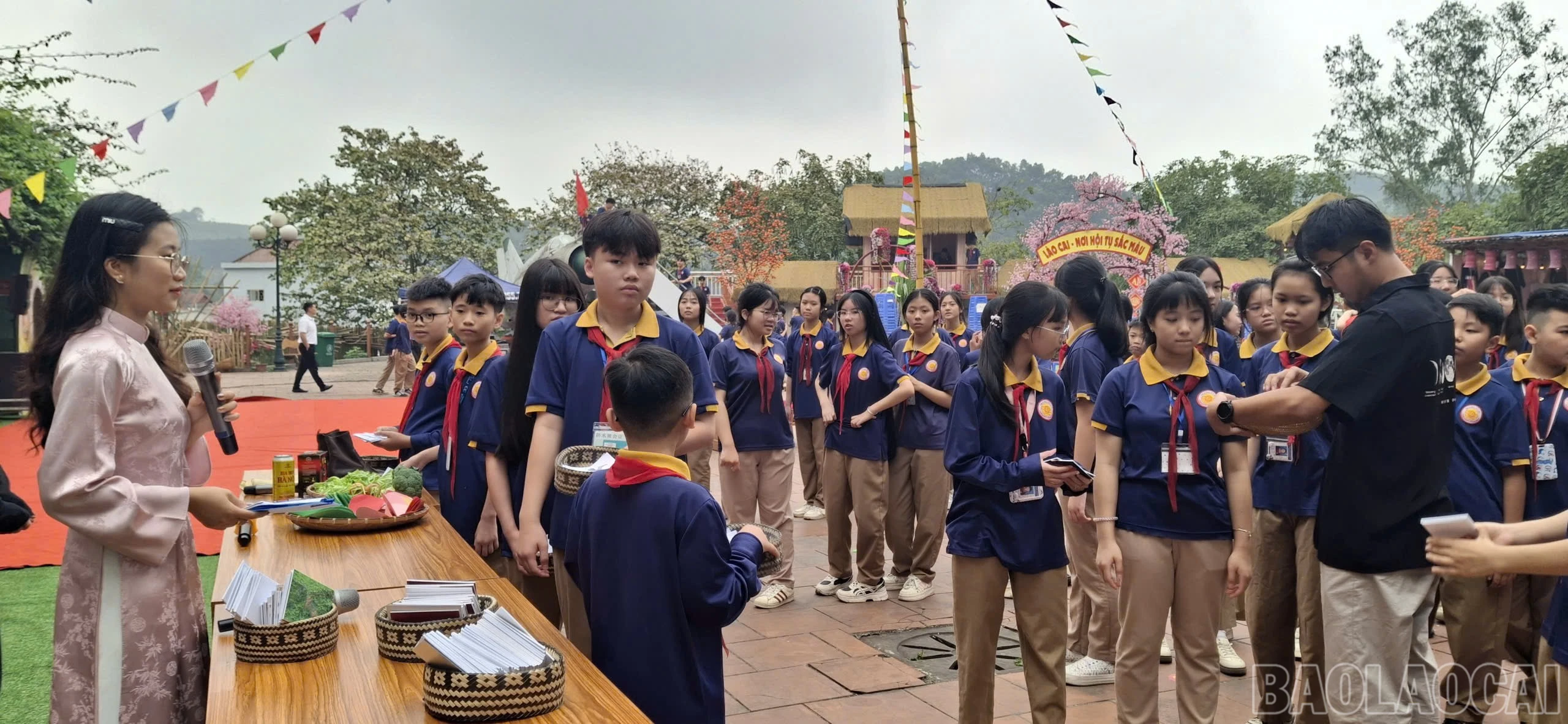 baolaocai-br_z7639076421051-753dab5430e48c0a52bdf6dc833f19f5.jpg