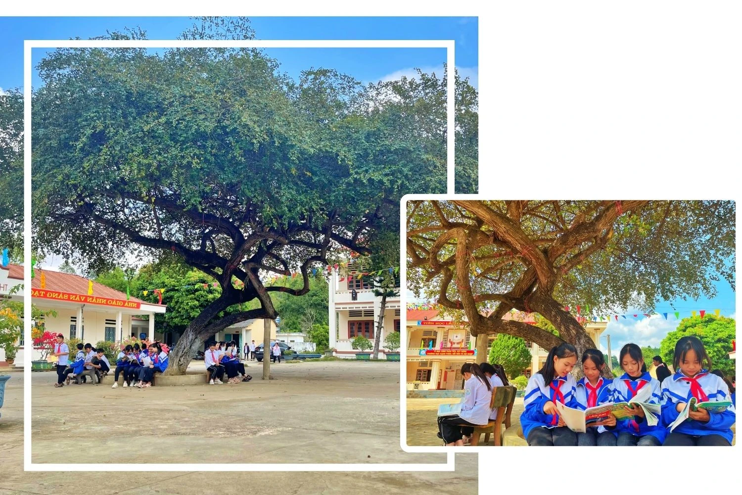 In this paragraph, fill in with a brief and clear description of the travel agent so that readers or listeners can understand the intent and purpose of this paragraph. (2).jpg