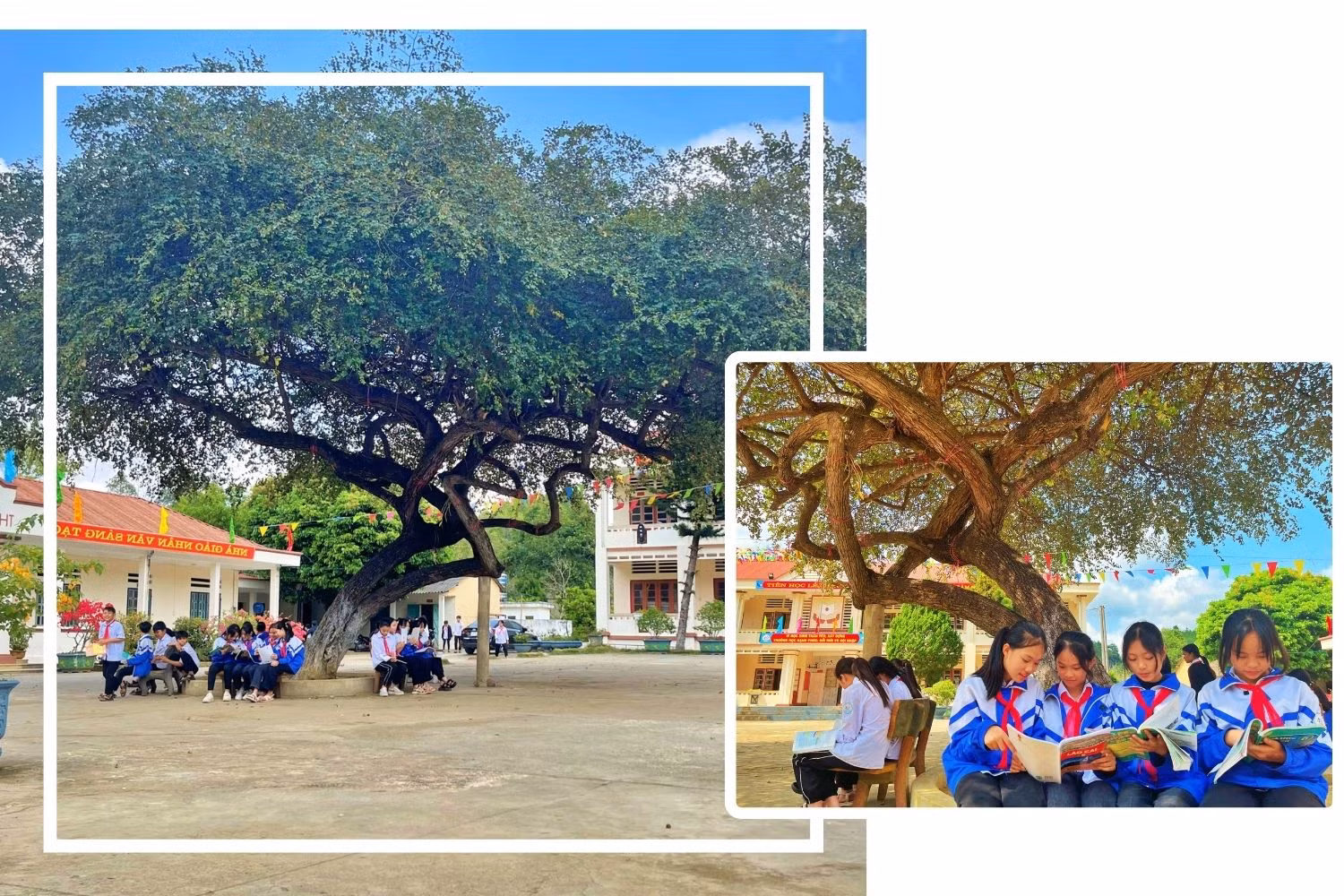 In this paragraph, fill in with a brief and clear description of the travel agent so that readers or listeners can understand the intent and purpose of this paragraph. (2).jpg