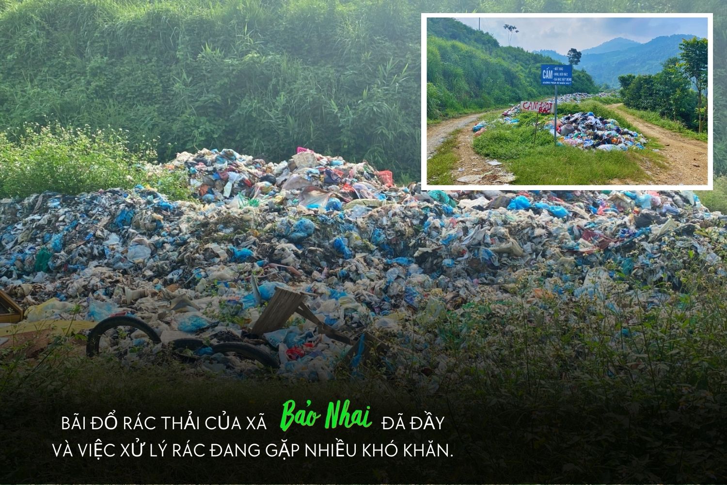 bnhai.jpg