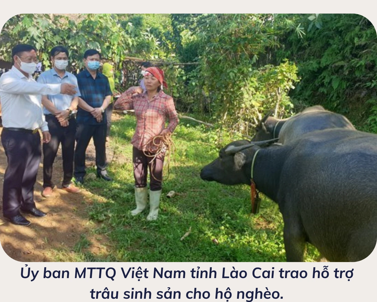 vi-nguoi-ngheo-2-6629.png