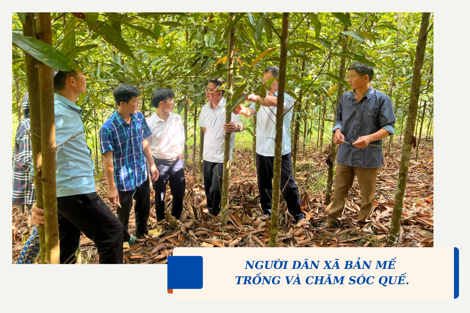 Mô hình hỗ trợ lợn giống đã giúp nhiều hội viên phụ nữ xã Cốc Mỳ, huyện Bát Xát cải thiện thu nhập. - 6.png