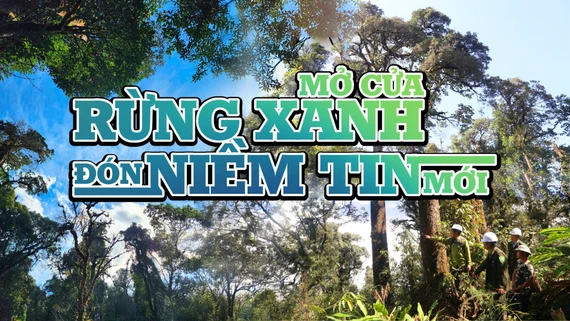Mở cửa rừng xanh đón niềm tin mới