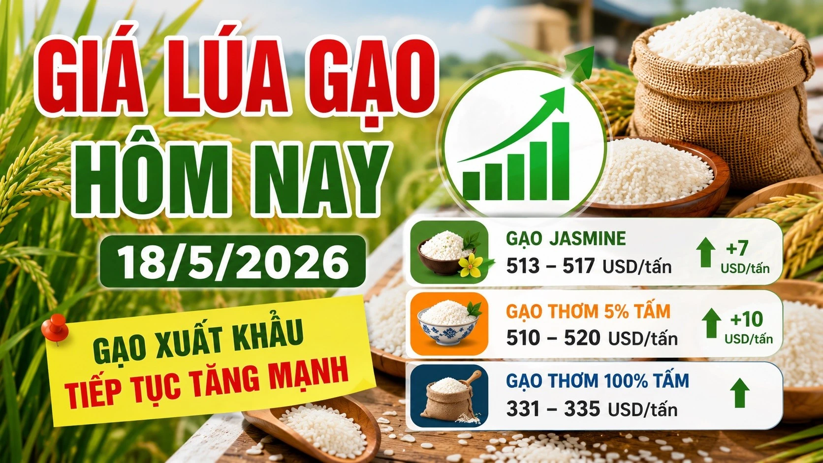 gia-lua-gao-hom-nay-18-5-2026-9349.jpg
