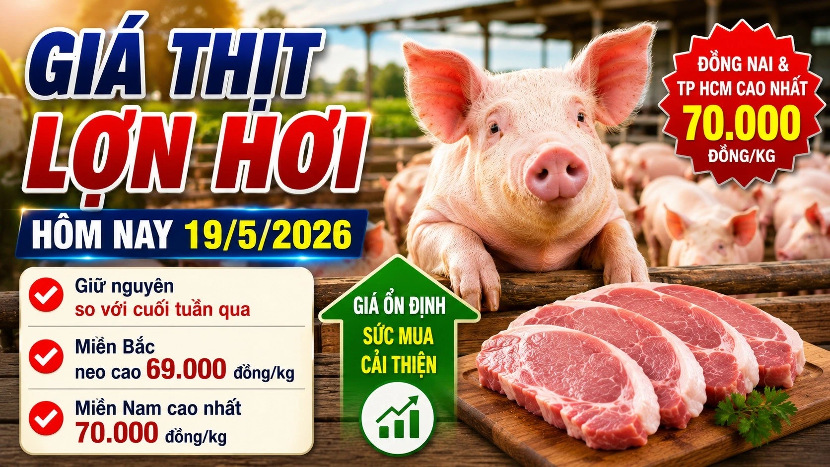 gia-thit-lon-hoi-hom-nay-19-5-2026-4700.jpg