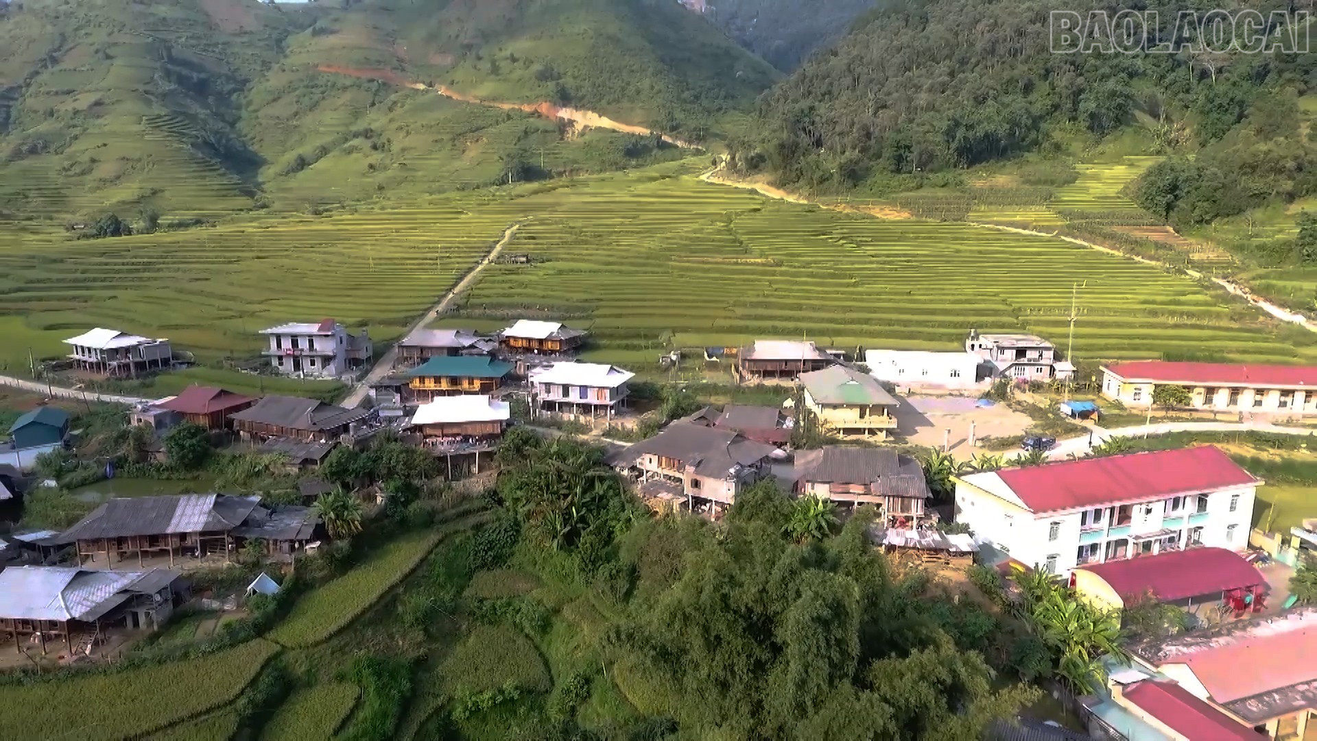 Höglandet förändras dag för dag, och kvinnor spelar en tydlig och betydande roll i denna omvandling. baolaocai-tr_vqdk15.jpg