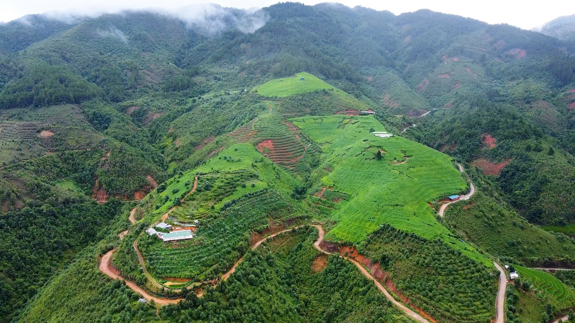 Toàn cảnh khu trang trại su su của anh Phạm Quang Thọ ở thôn Háng Gàng, xã Lao Chải. 8.jpg