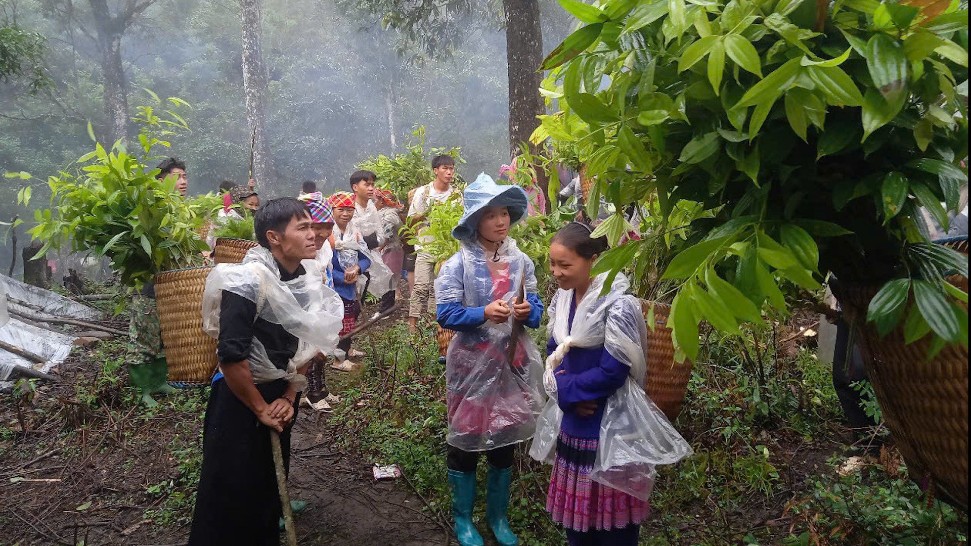 Người dân tích cực tham gia vận chuyển cây giống để trồng rừng hằng năm. hanh-phuc-dan-vc-cay-giong-trong-rung.jpg