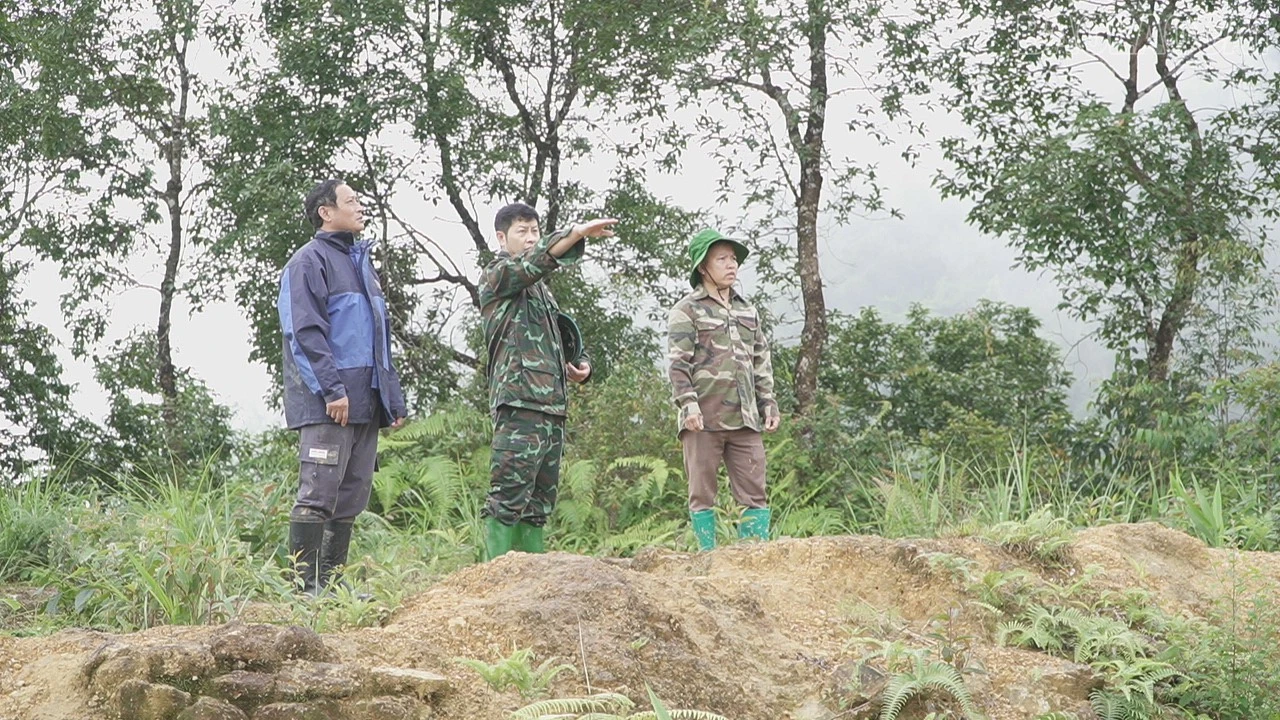baolaocai-tr_c1854t01.jpg