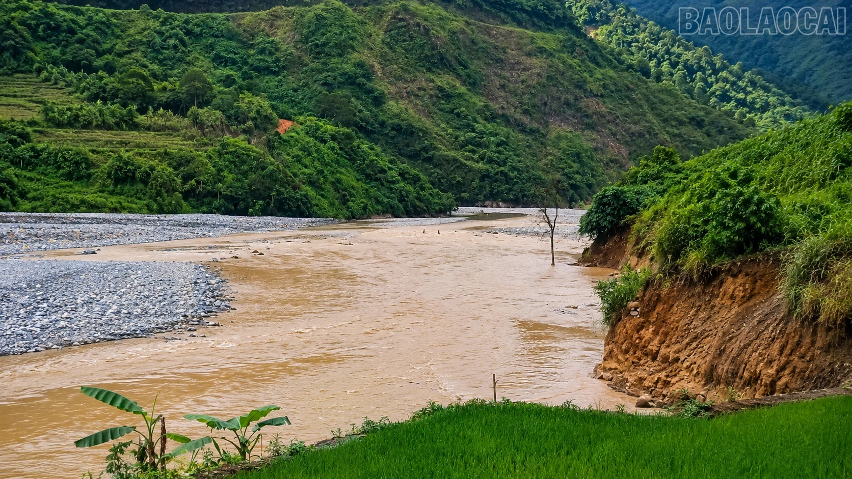 baolaocai-tr_chatgpt-image-09-41-42-8-thg-8-2026.png
