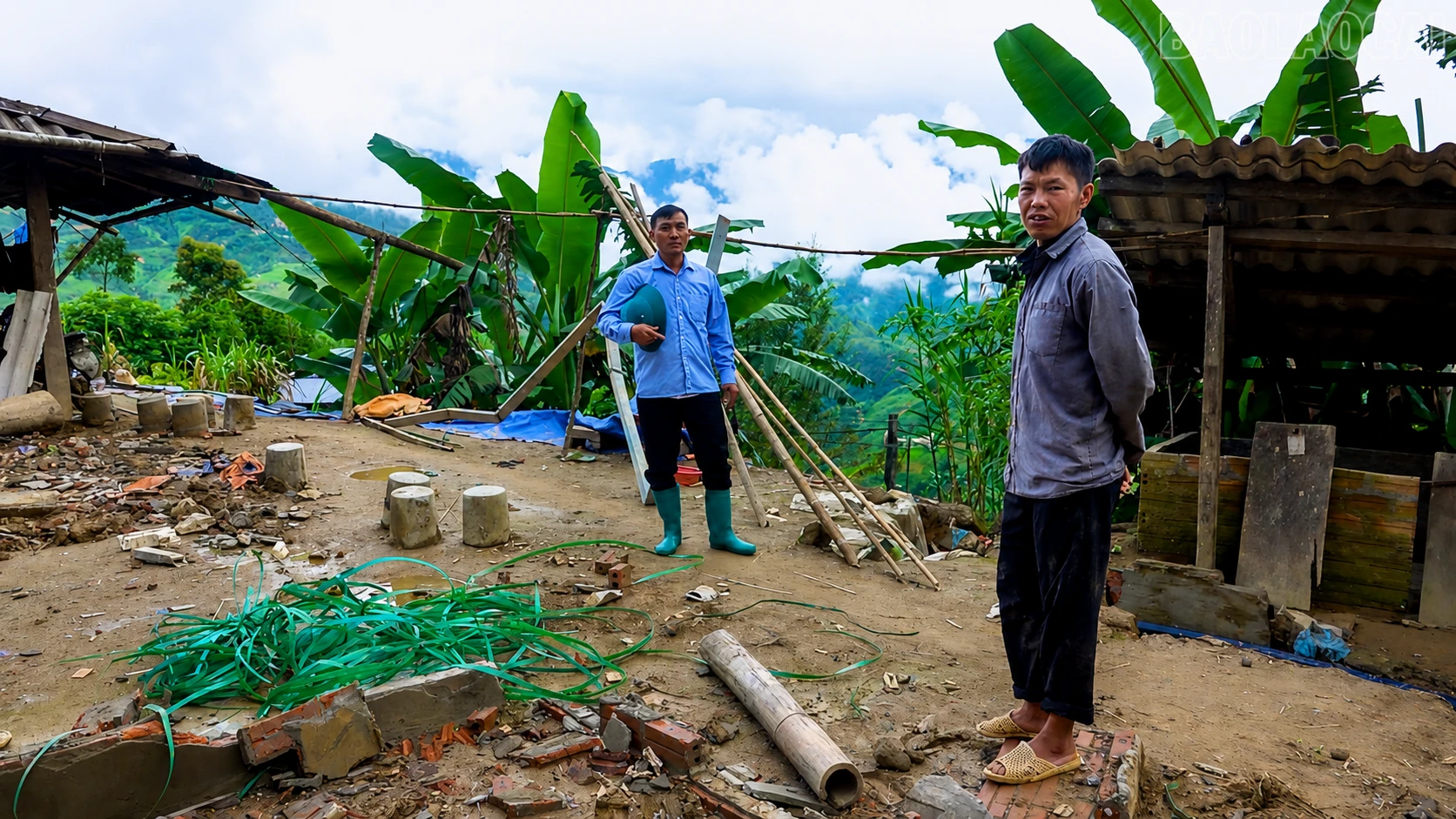 baolaocai-tr_chatgpt-image-18-56-46-8-thg-8-2026.png