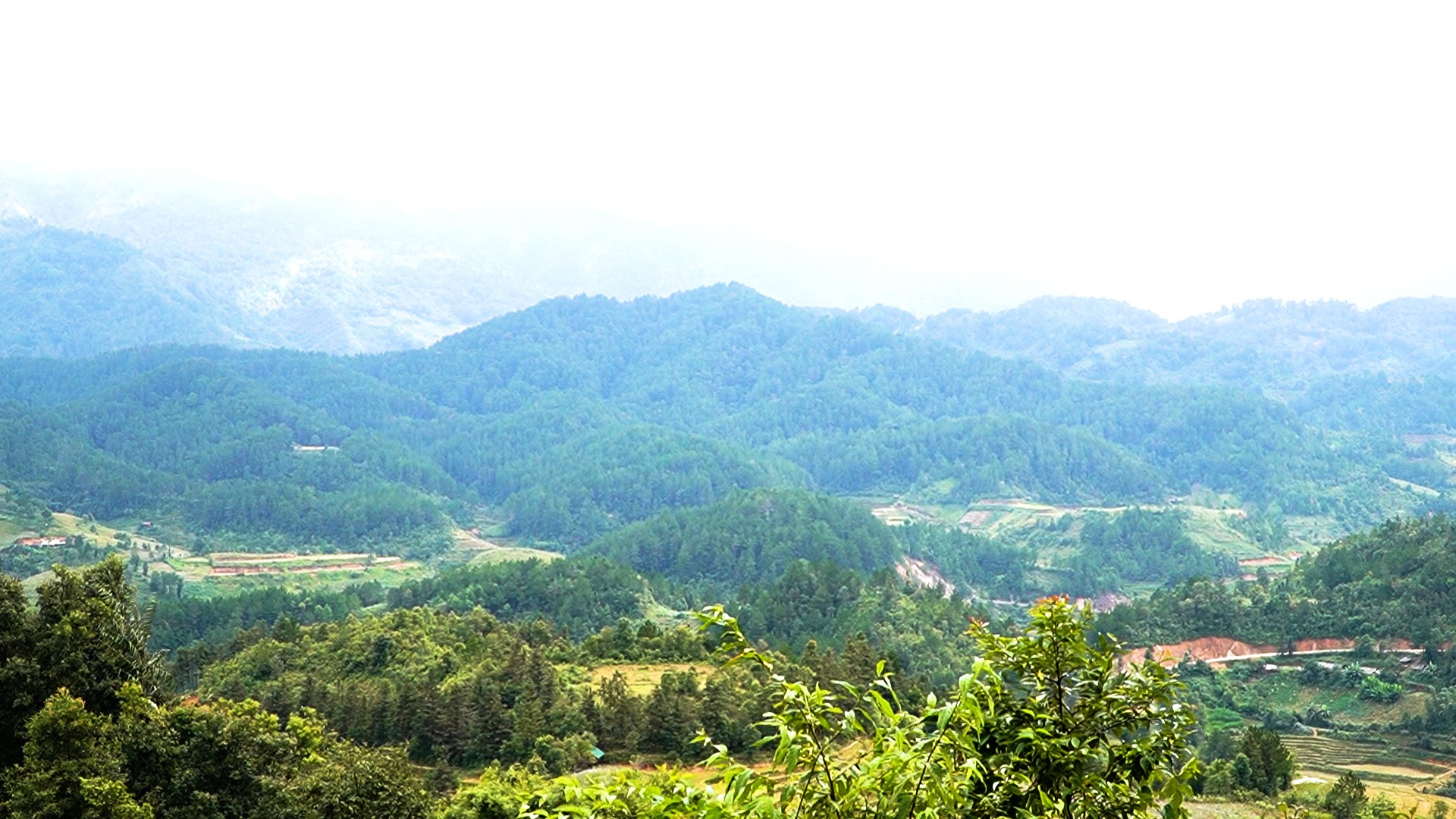 Diện tích rừng của thôn Nả Háng Tùa Chử được bảo vệ xanh tốt. sequence-0100-00-59-07still016.jpg