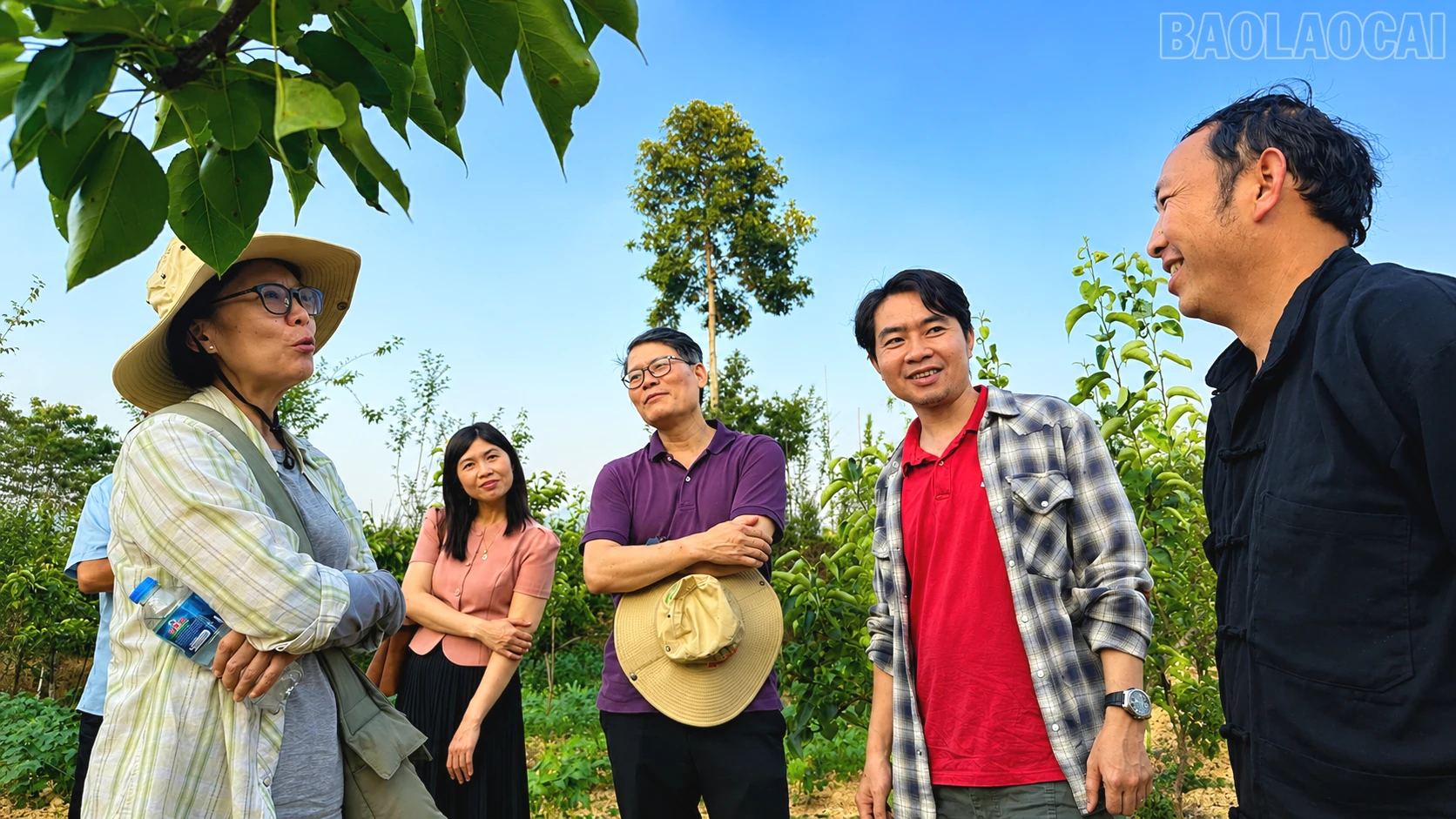 baolaocai-tr_ly-seo-dung-4759.png