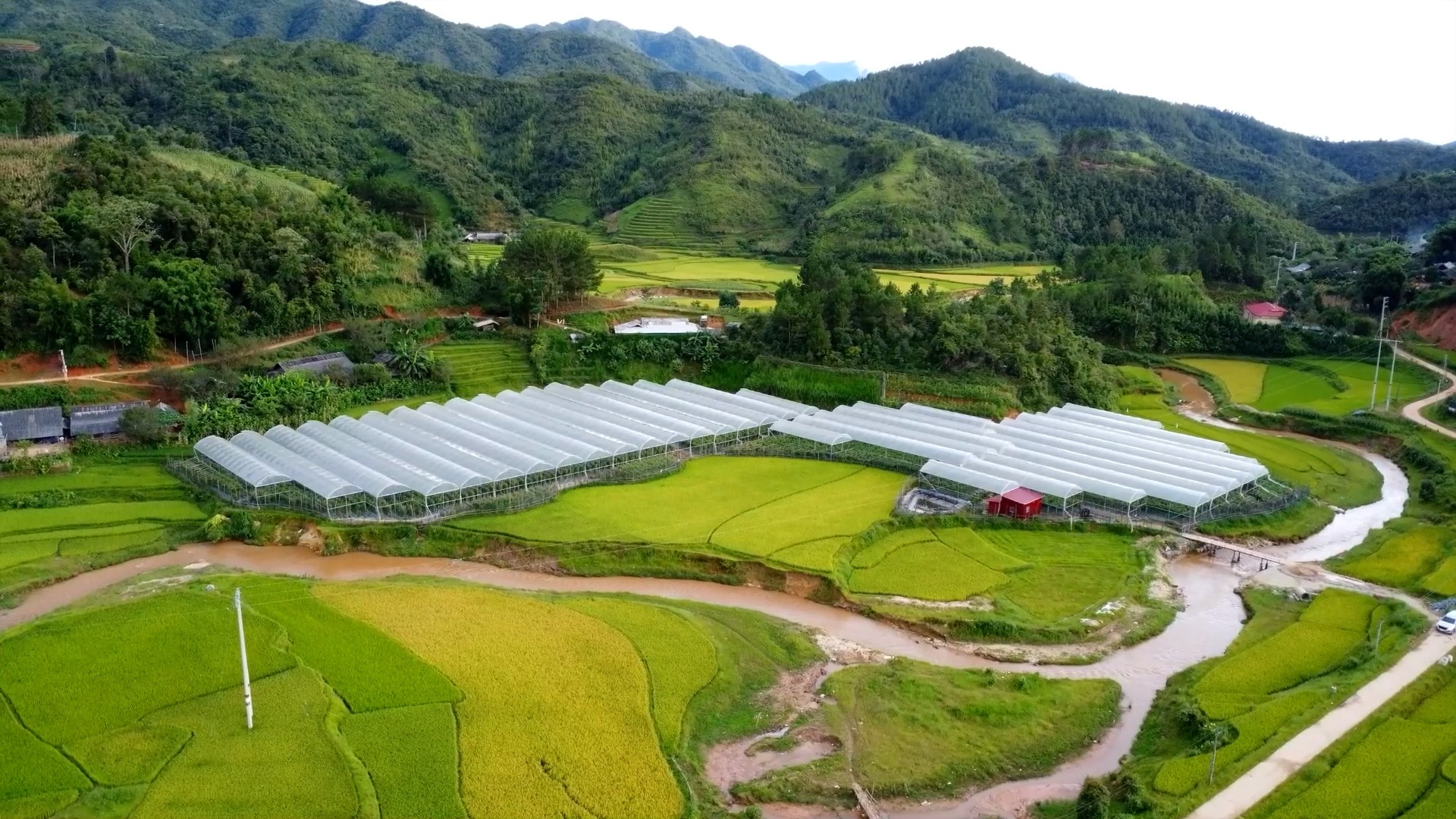 Trang trại trồng cà chua, ớt công nghệ cao ở thôn Nậm Khắt. rau-cnghe-cao.jpg
