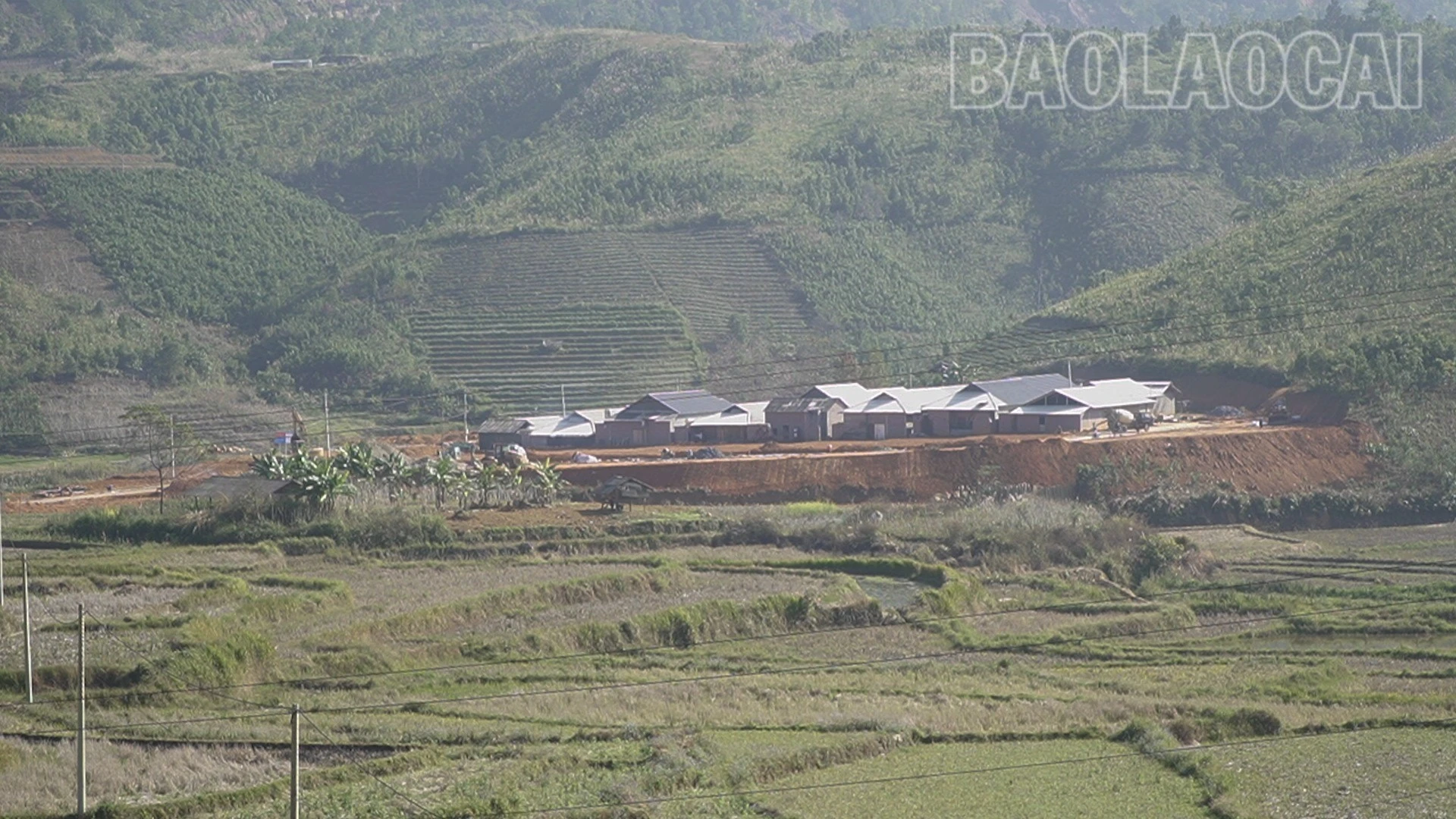 toan-canh-sl-7750.jpg