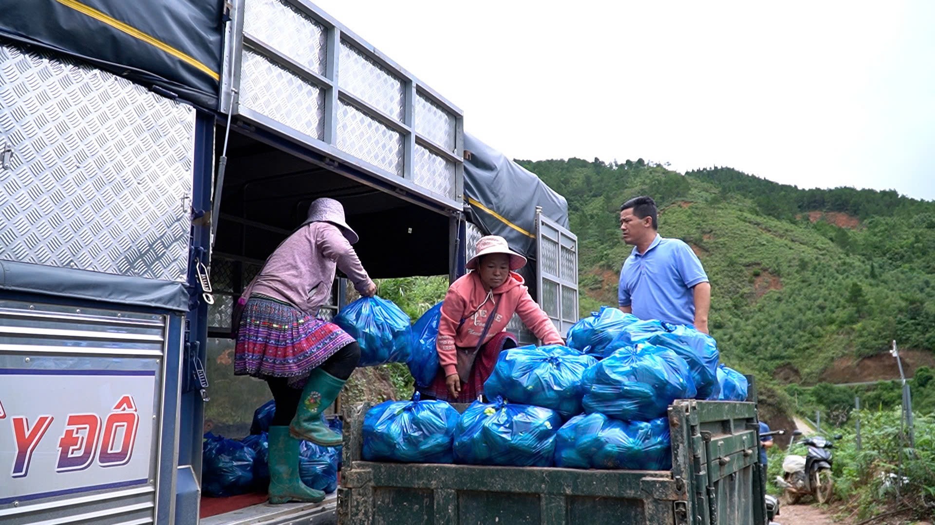 Anh Phạm Quang Thọ chỉ đạo vận chuyển su su mang đi tiêu thụ. 1.jpg