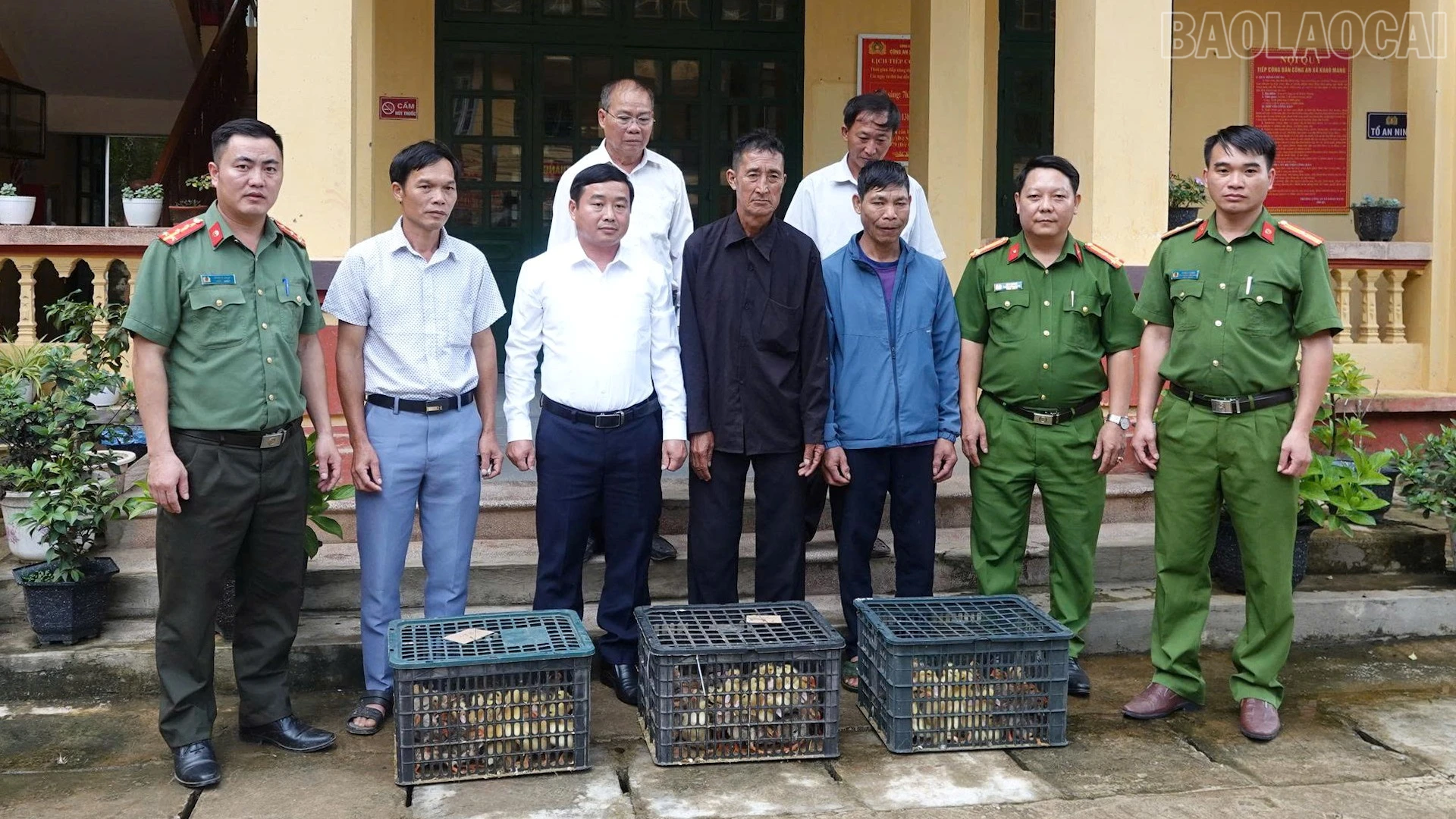 baolaocai-tr_trao-ga-vit-giong-cho-nguoi-sau-cai.jpg
