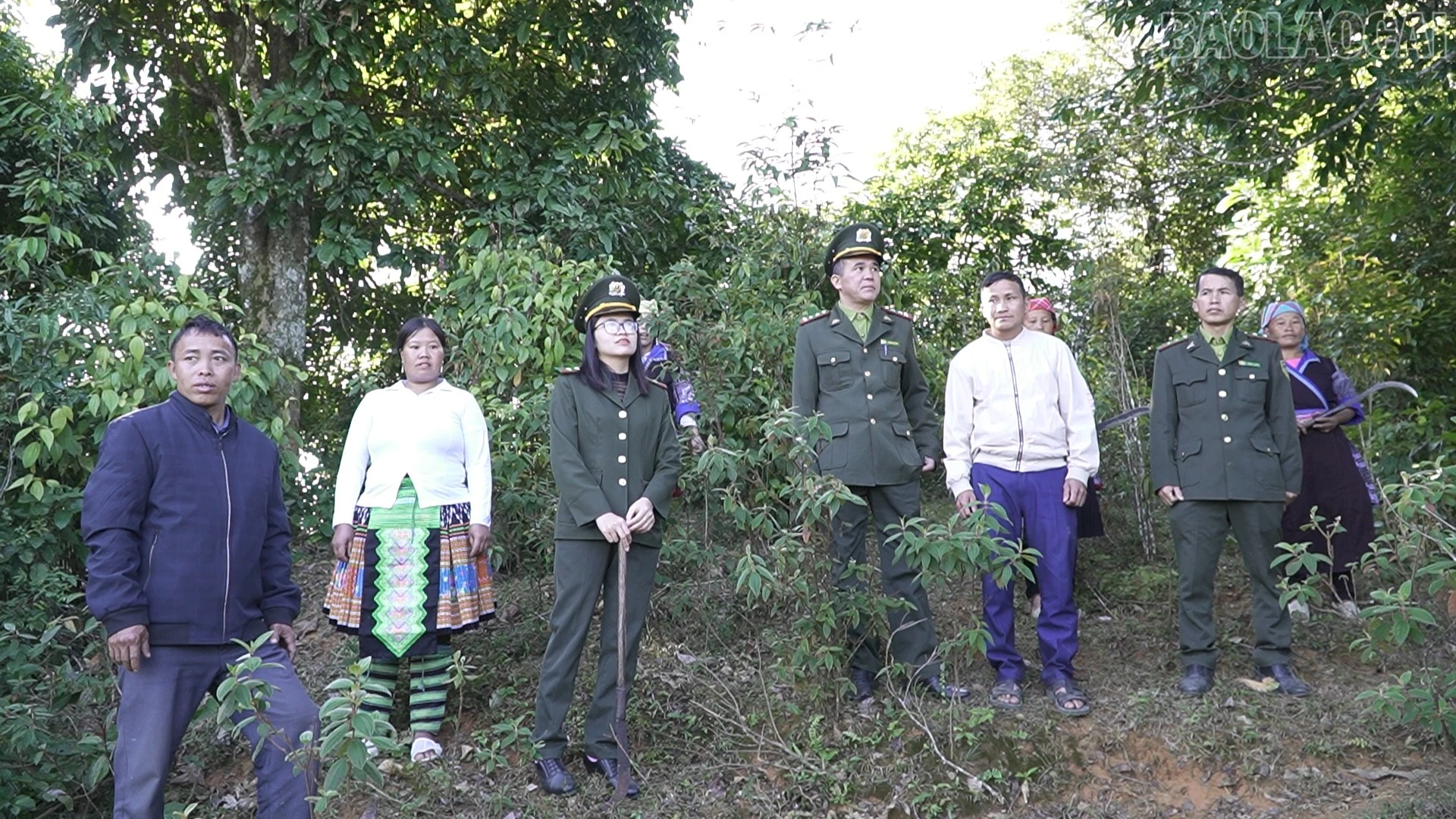 baolaocai-tr_tt3.jpg