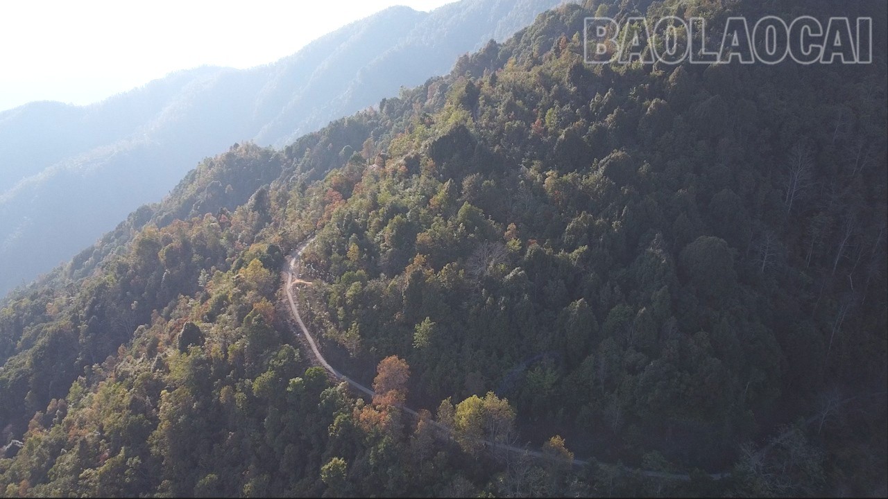 این جادههای منحصر به فرد، مرکز کمون چه تائو را به روستاهای دورافتاده متصل میکنند. duong-dac-thu-8563.jpg