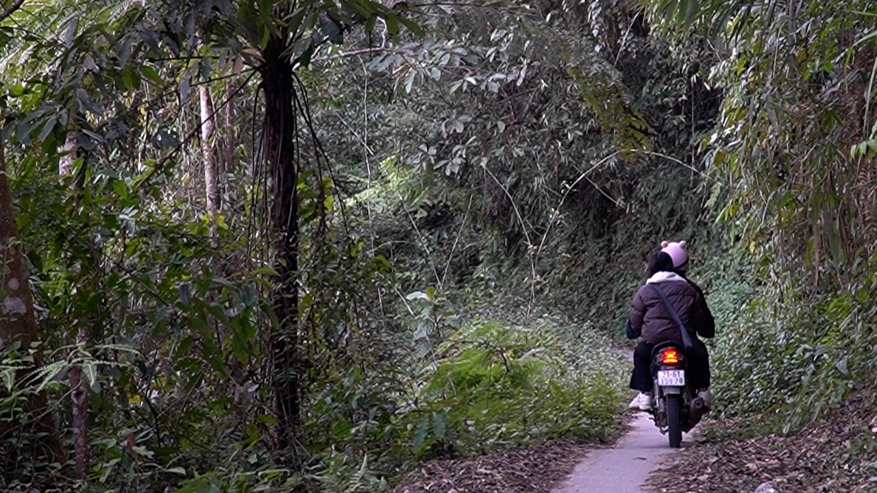 این مسیر از میان جنگلهای باستانی میگذرد. duong-dac-thu17.jpg
