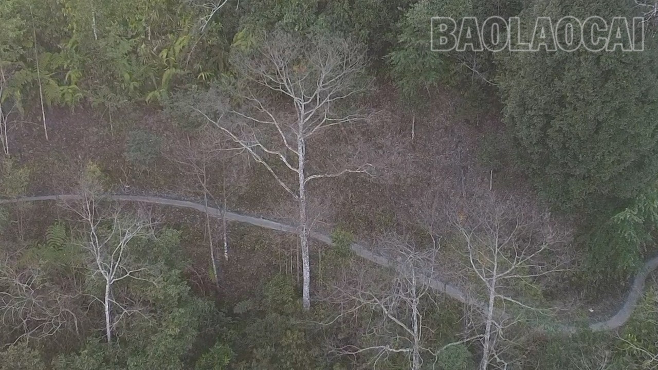 مسیر آسفالت شده از میان دامنههای کوه، پیچ و تاب میخورد. duong-dac-thu1-6683.jpg