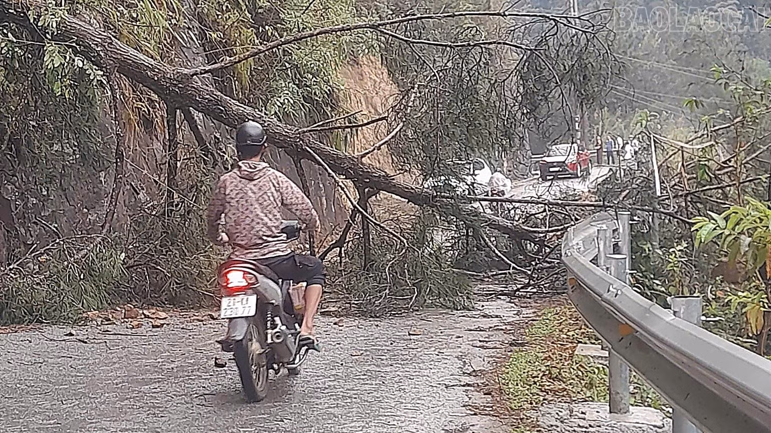 Mưa dông gây thiệt hại tại một số địa phương trong tỉnh ảnh 9
