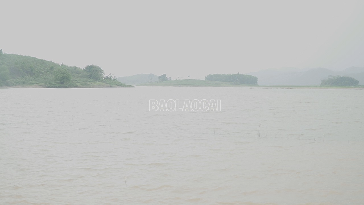 baolaocai-c_c8602t01-6888.png