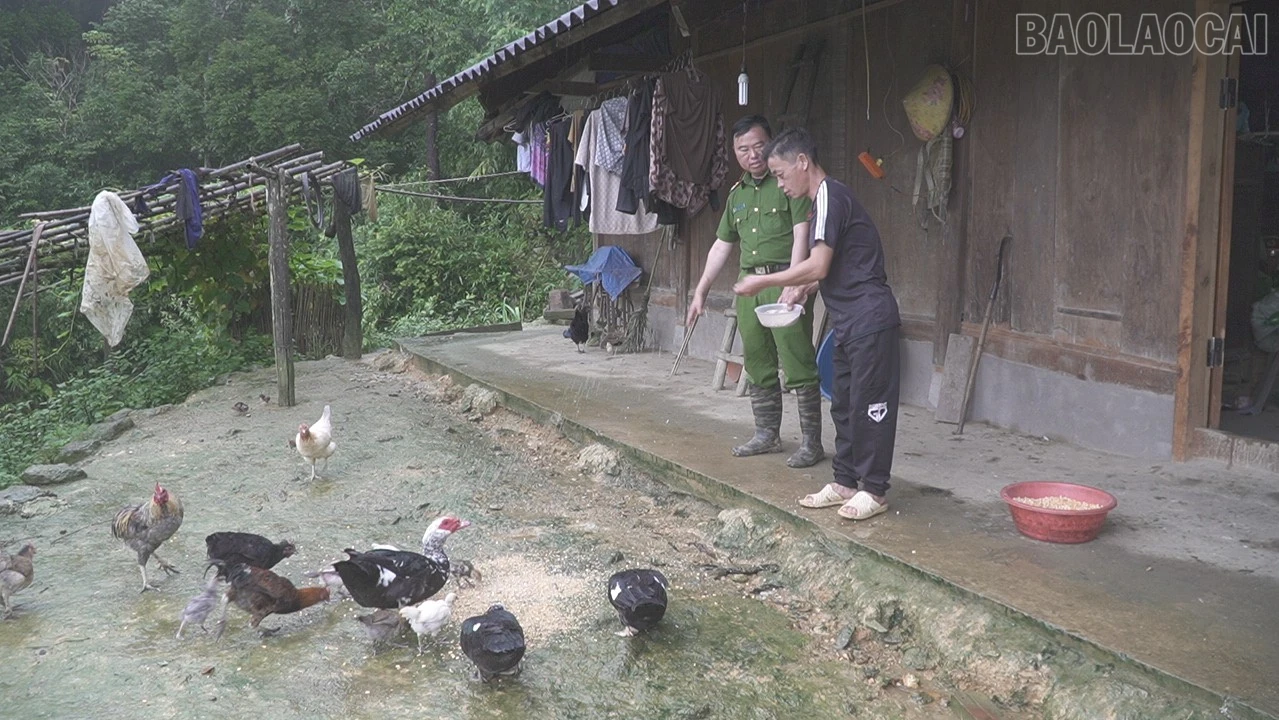 baolaocai-tr_c1634t01-8192-5347.jpg
