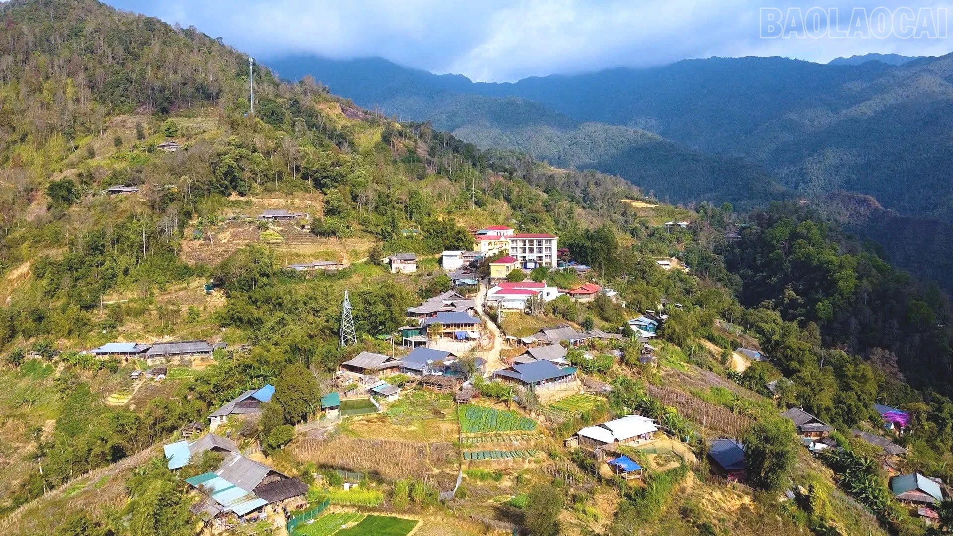baolaocai-tr_z7535351803221-c3c34fdad42bcf3fb094dc84735a0cc6.jpg