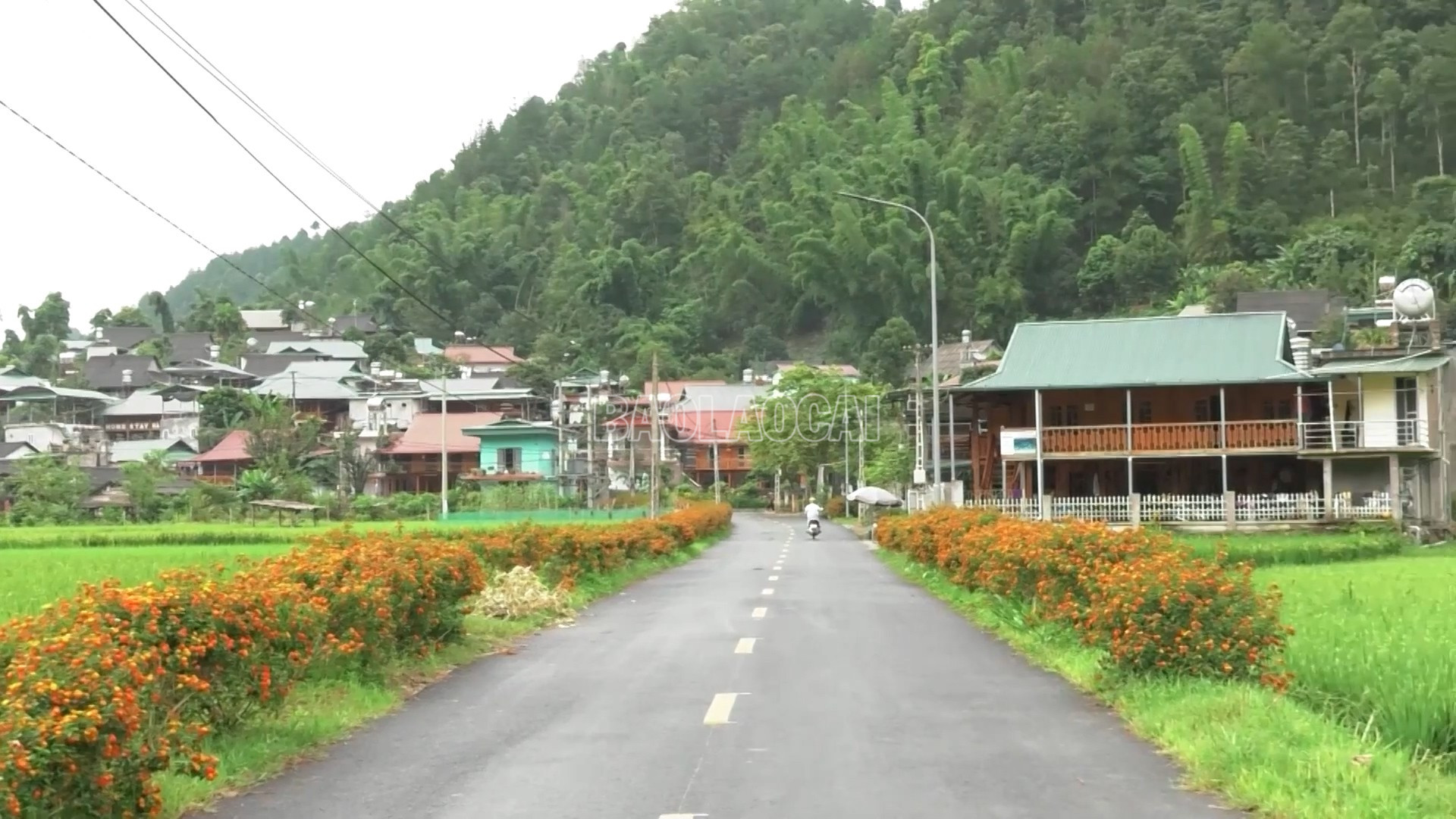 Cung đường thi đấu chạy qua Bản Thái. baolaocai-c_duong-chay.jpg