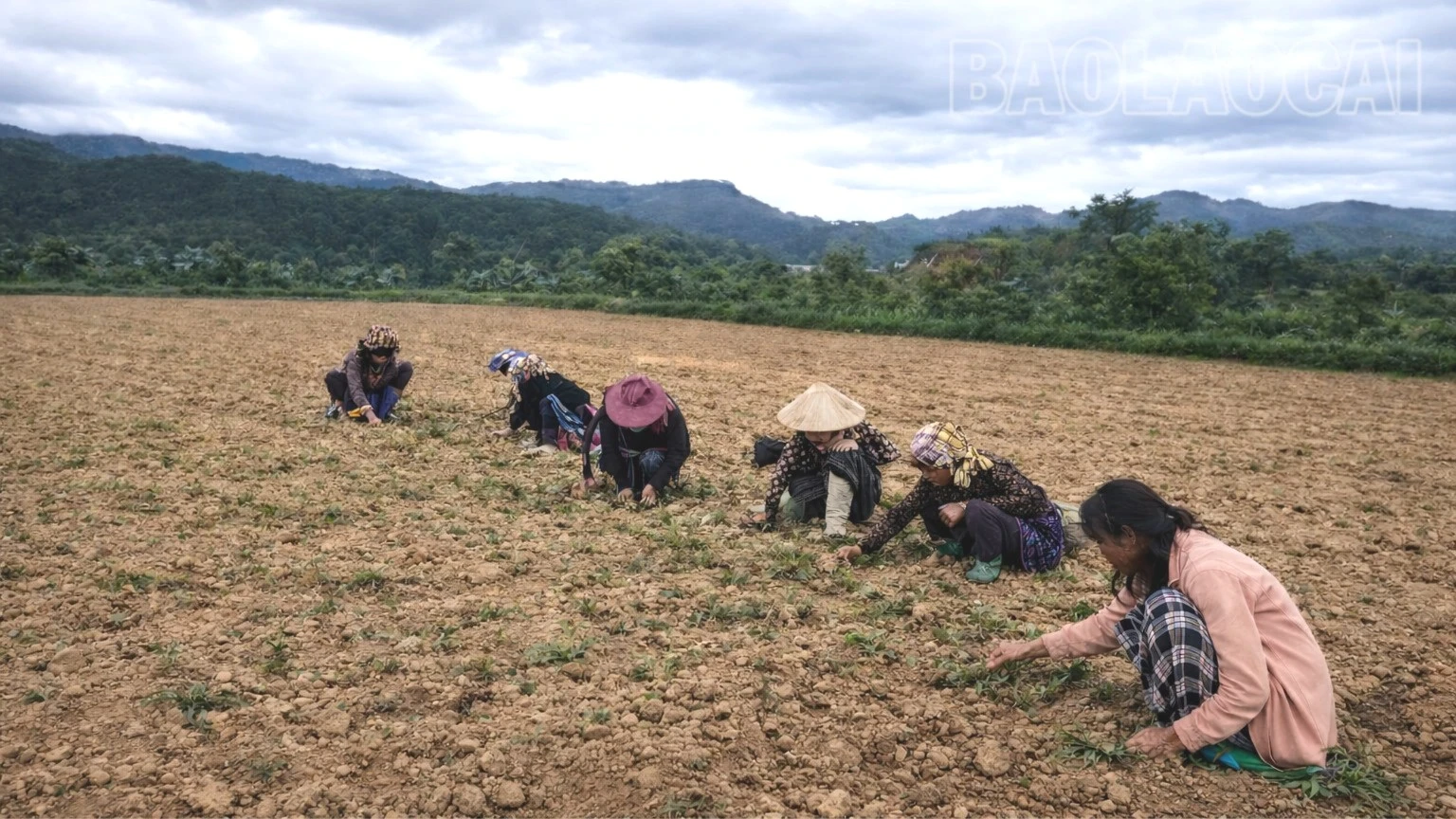 phu-nu-lam-dong-trong-ngay-may-mu-4397.jpg
