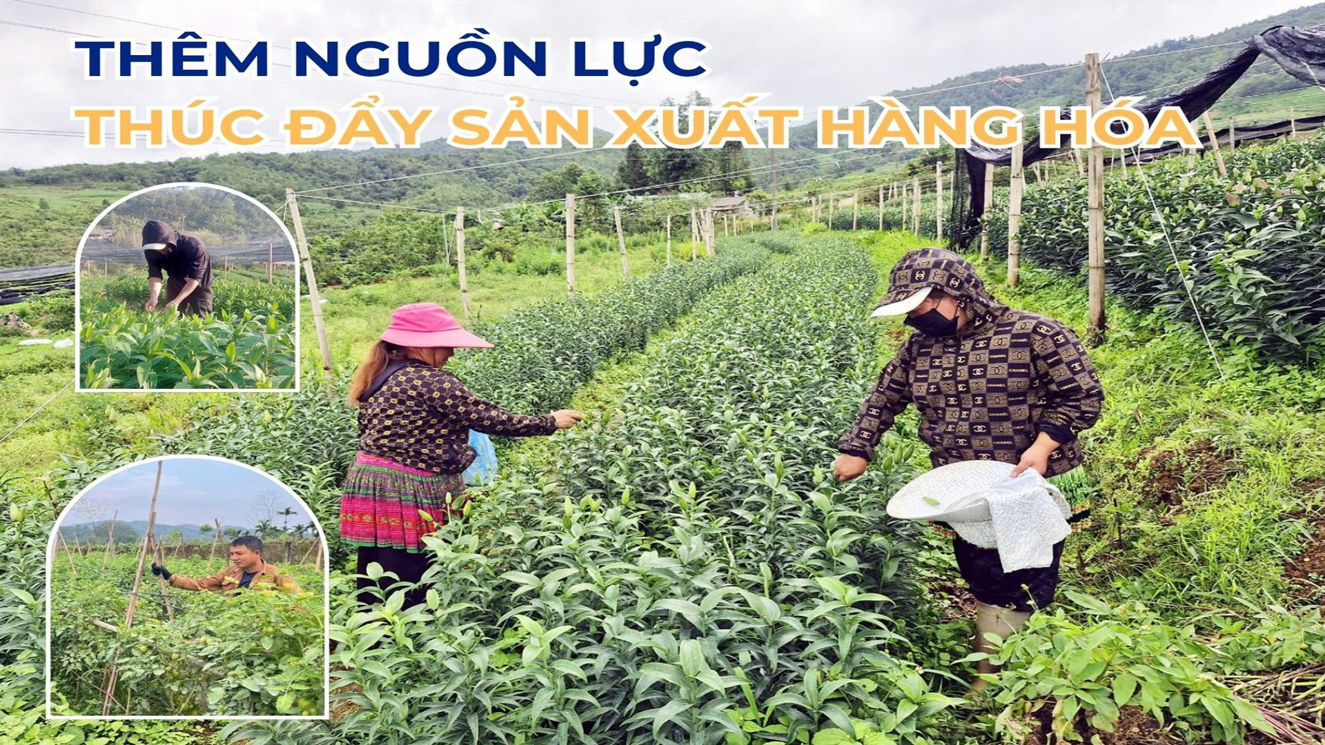 Thêm nguồn lực thúc đẩy sản xuất hàng hóa