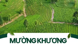 Mường Khương thu hút đầu tư vào nông nghiệp