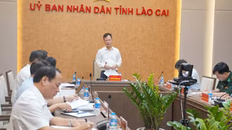 Đồng chí Nguyễn Thành Sinh - Phó Chủ tịch UBND tỉnh phát biểu chỉ đạo hội nghị