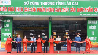 Các đại biểu cắt băng khai trương mô hình thương mại 2 chiều 