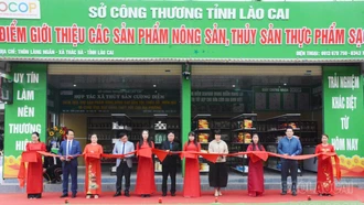 Các đại biểu cắt băng khai trương mô hình thương mại 2 chiều 